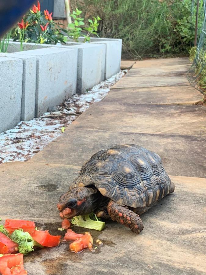 Maravilha Na Serra - Proximo Ao Centro Teresópolis Zewnętrze zdjęcie
